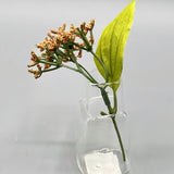 Linea 2 Glass Vase- Small