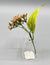 Linea 2 Glass Vase- Small