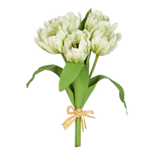Real Touch Cream Parrot Tulip Bundle