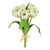 Real Touch Cream Parrot Tulip Bundle
