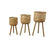 Medium Basket on Legs