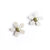 Daisy Horn Studs