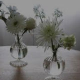 Ella 7” clear bud vase