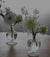 Ella 7” clear bud vase