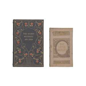 Canvas Book Storage Boxes Set of 2